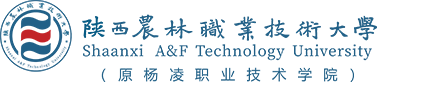 杨凌职业学院（新）手机版